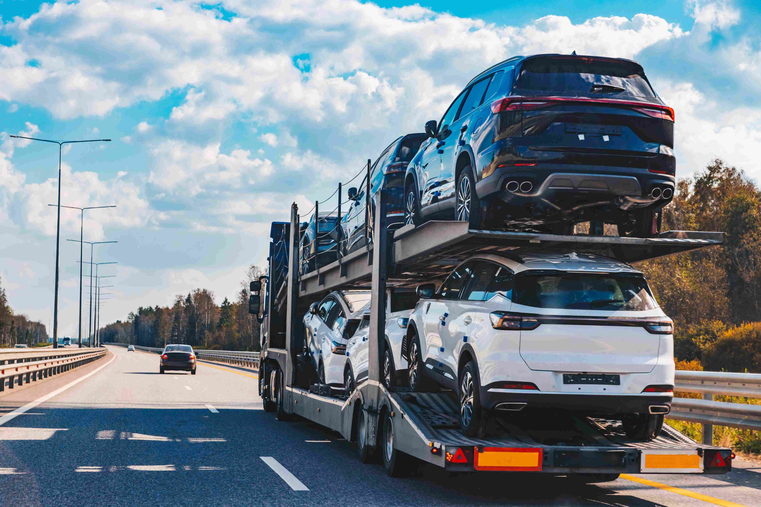 car-transport-truck-driving-on-highway-road-car-c-2025-03-18-15-32-08-utc (1)
